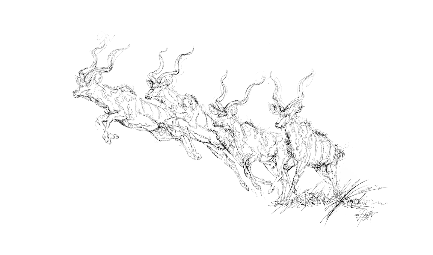 Kudu - Leaping Prowess (Original)