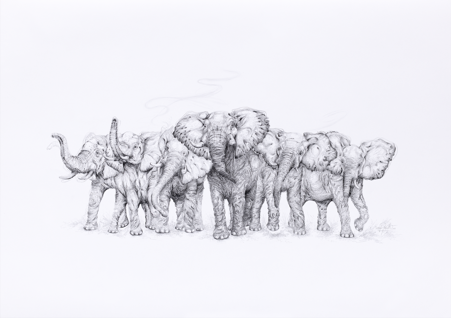 Elephant - Commission