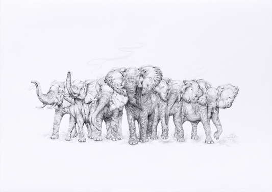 Elephant - Commission